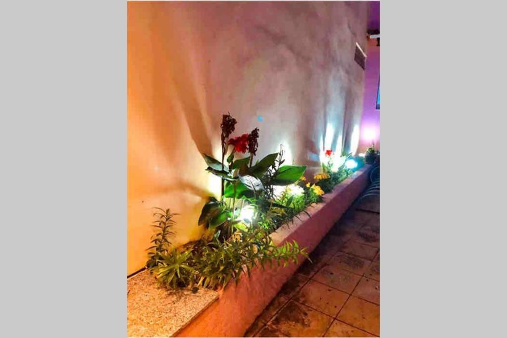 Ionian Stylish Apartment Preveza Marina Buitenkant foto